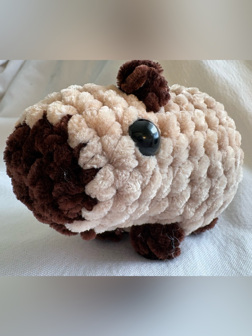Pocket-sized capybara - Picture 3 of 3